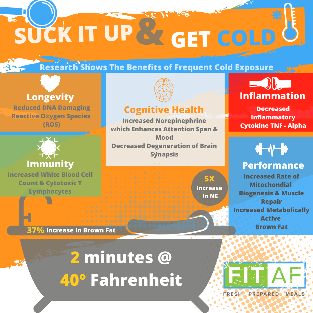 Benefits Cold Exposure Infograph - Fit AF Nutrition